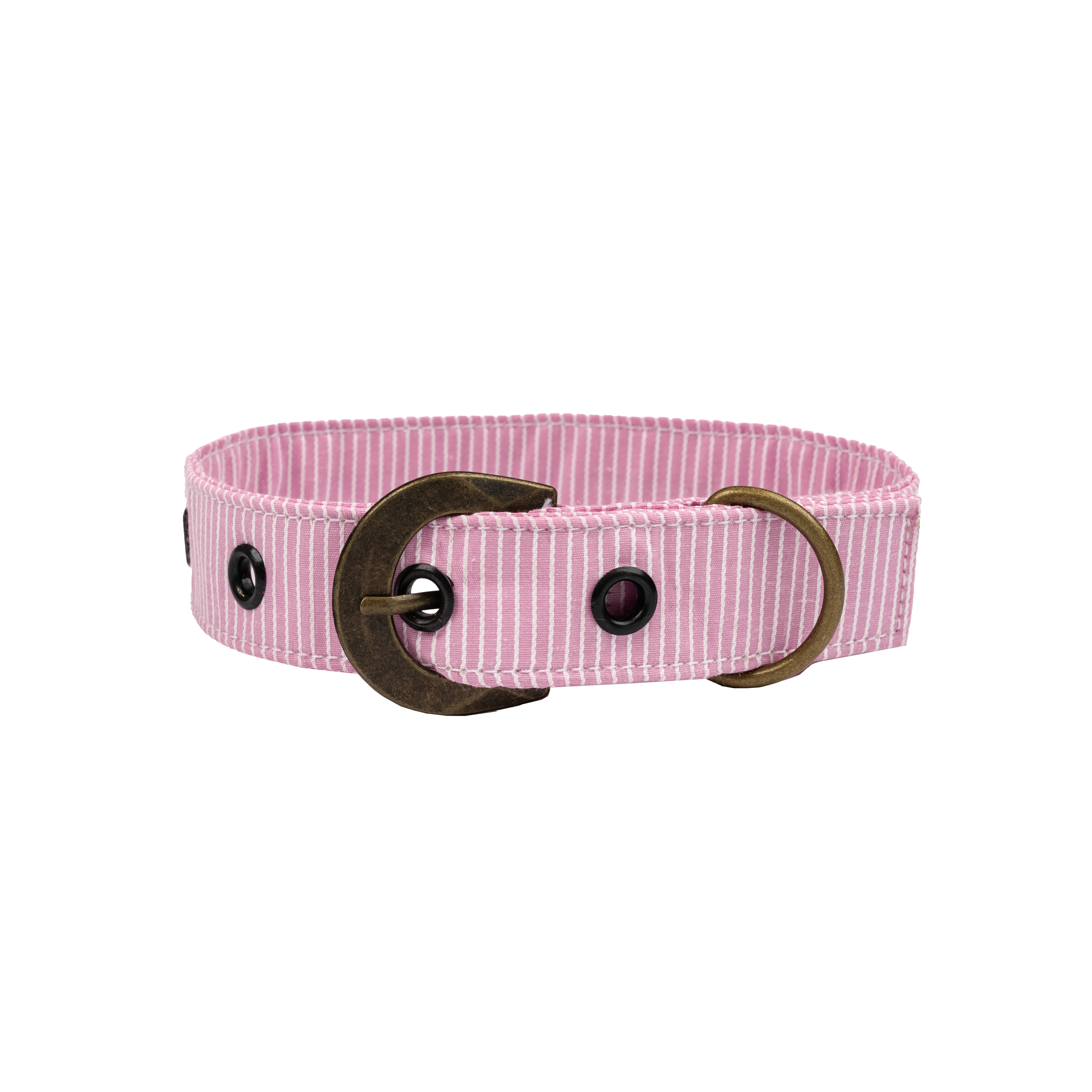 Poly Cotton Premium Medium Buckle Dog Collar 16" - 20" 8