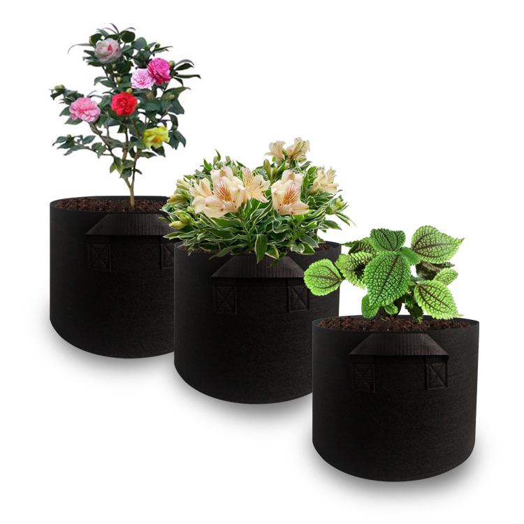 5 Gallon Grow Bags 3