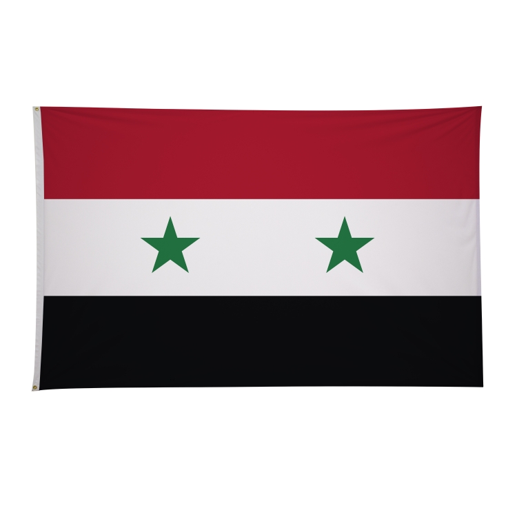 5' x 8' International Flags 271