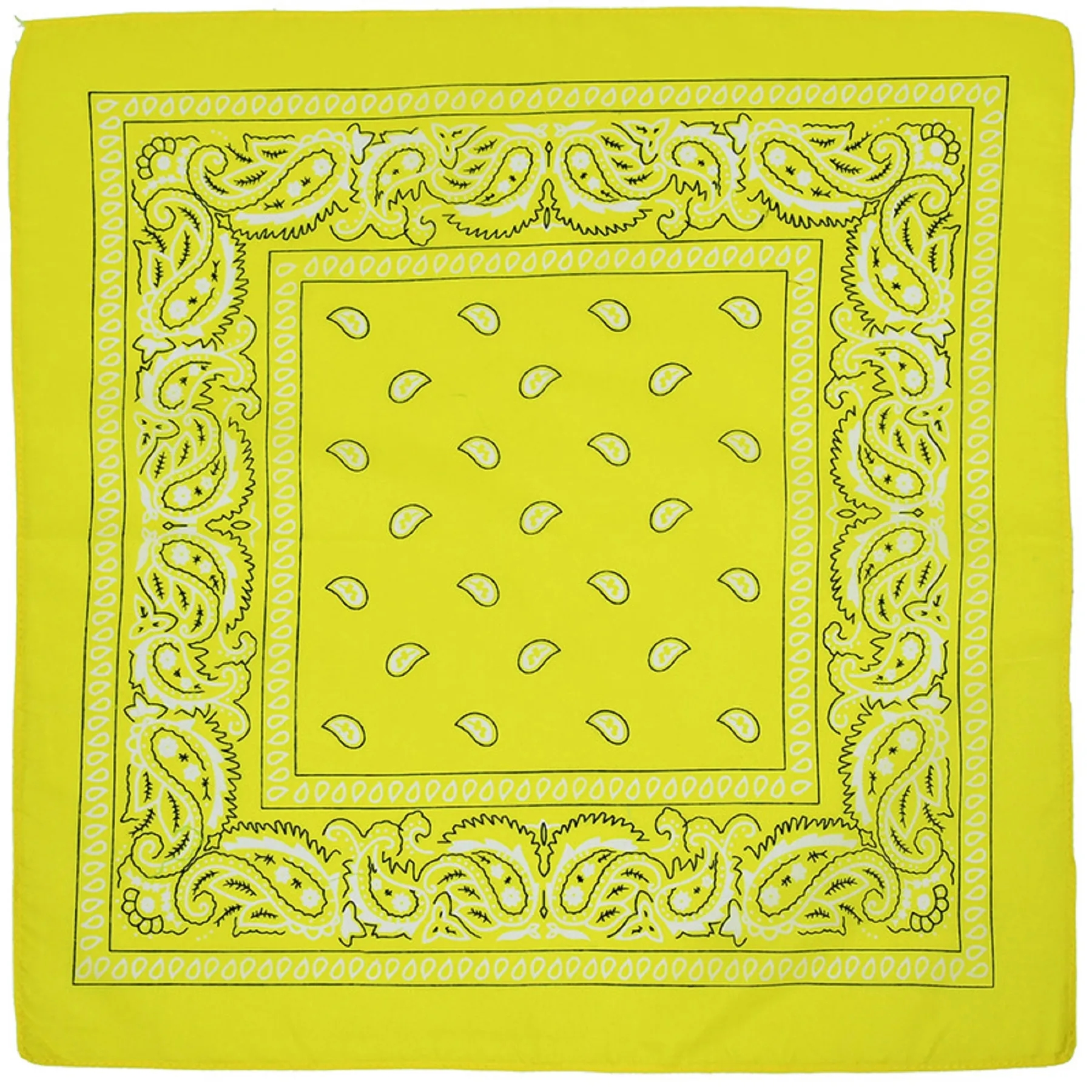 Multi-Purpose Bandanas Paisley 10