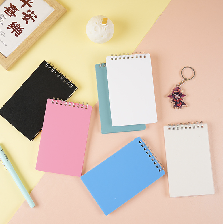 Little Spiral Notebook 9