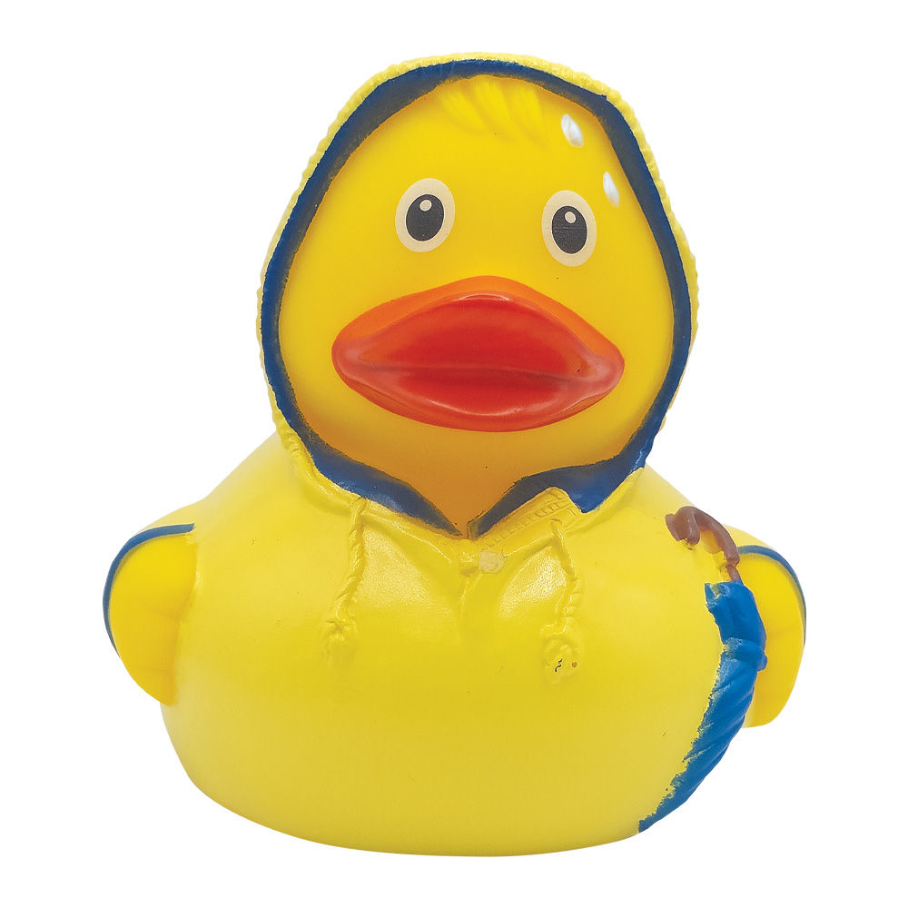 Bad Weather Duck 12
