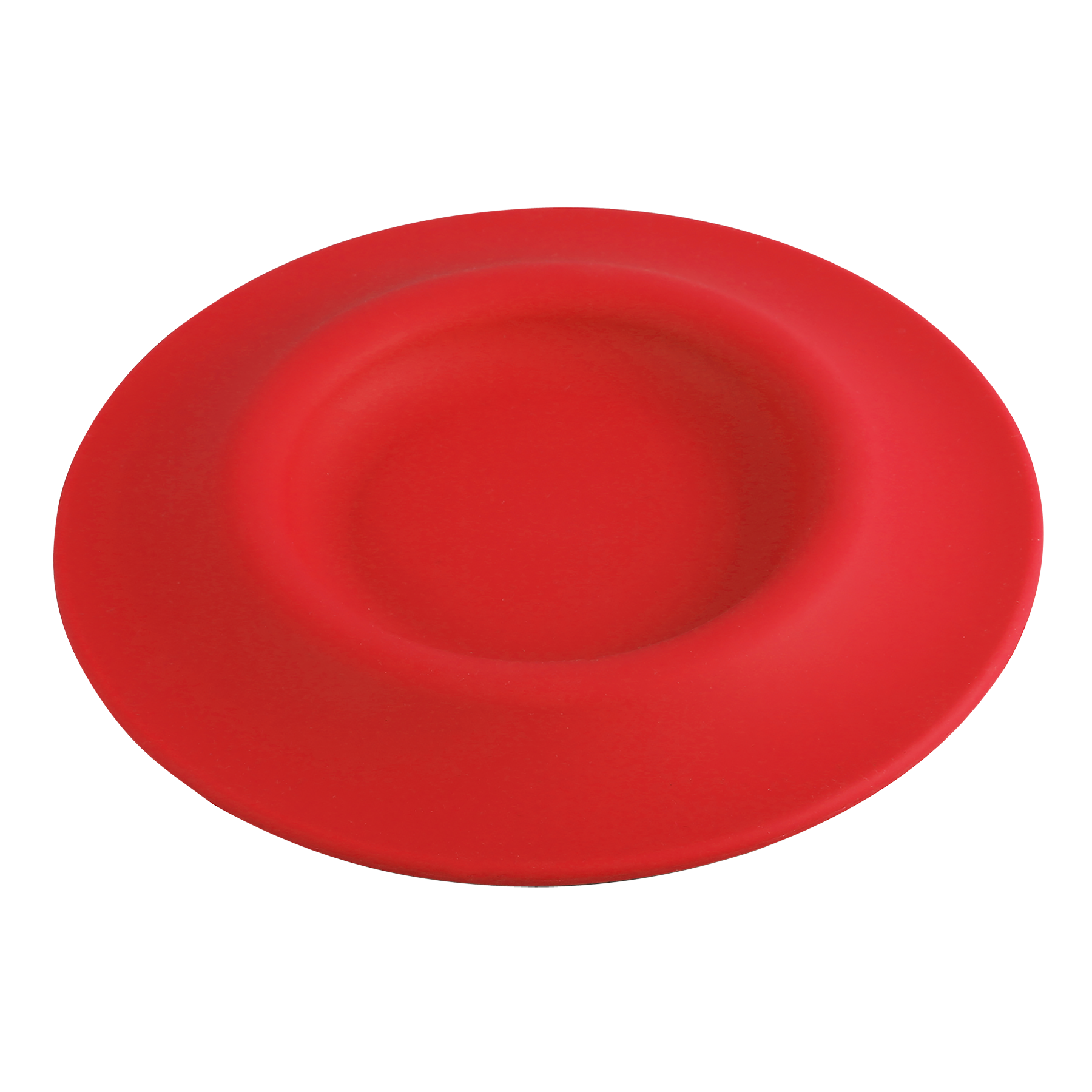 2-in-1 Silicone Pet Flyer and Drinking Bowl 2