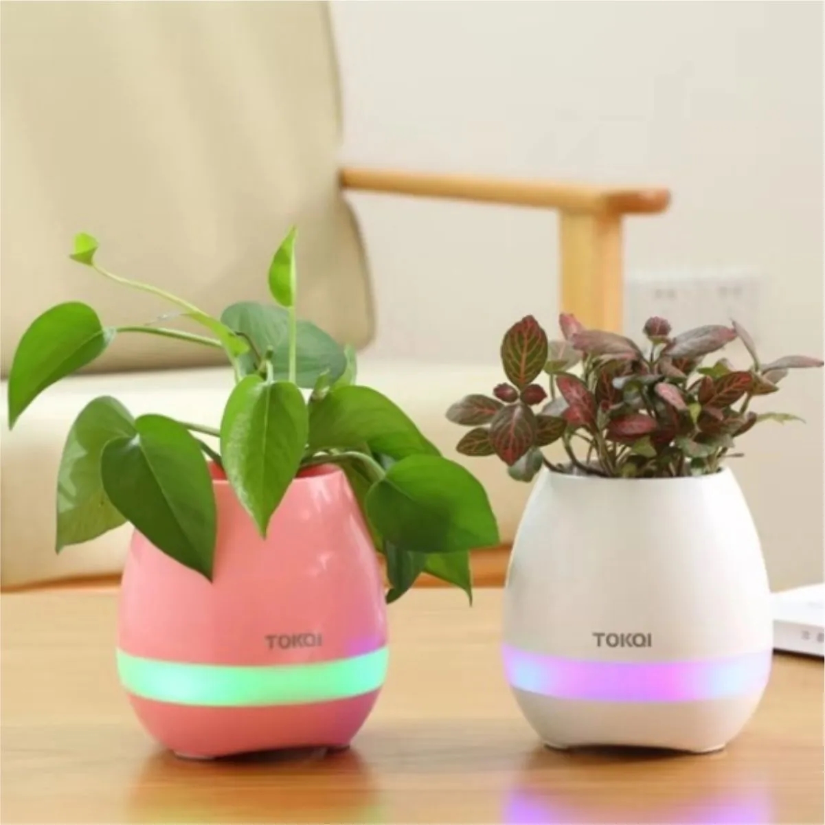 Bluetooth Music Planter With Touch Piano And RGB Light 3