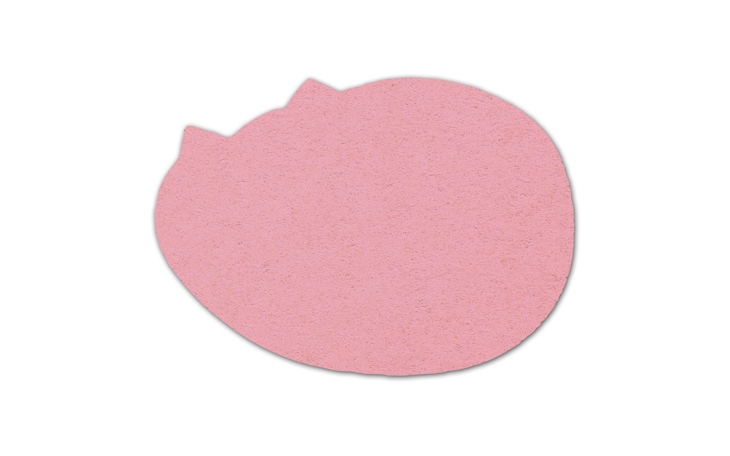 Painter Pallet Compressed Sponge 10