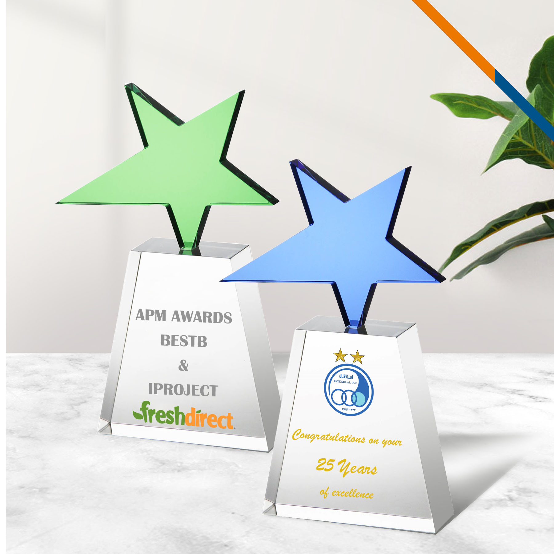 Felina Star Award 2