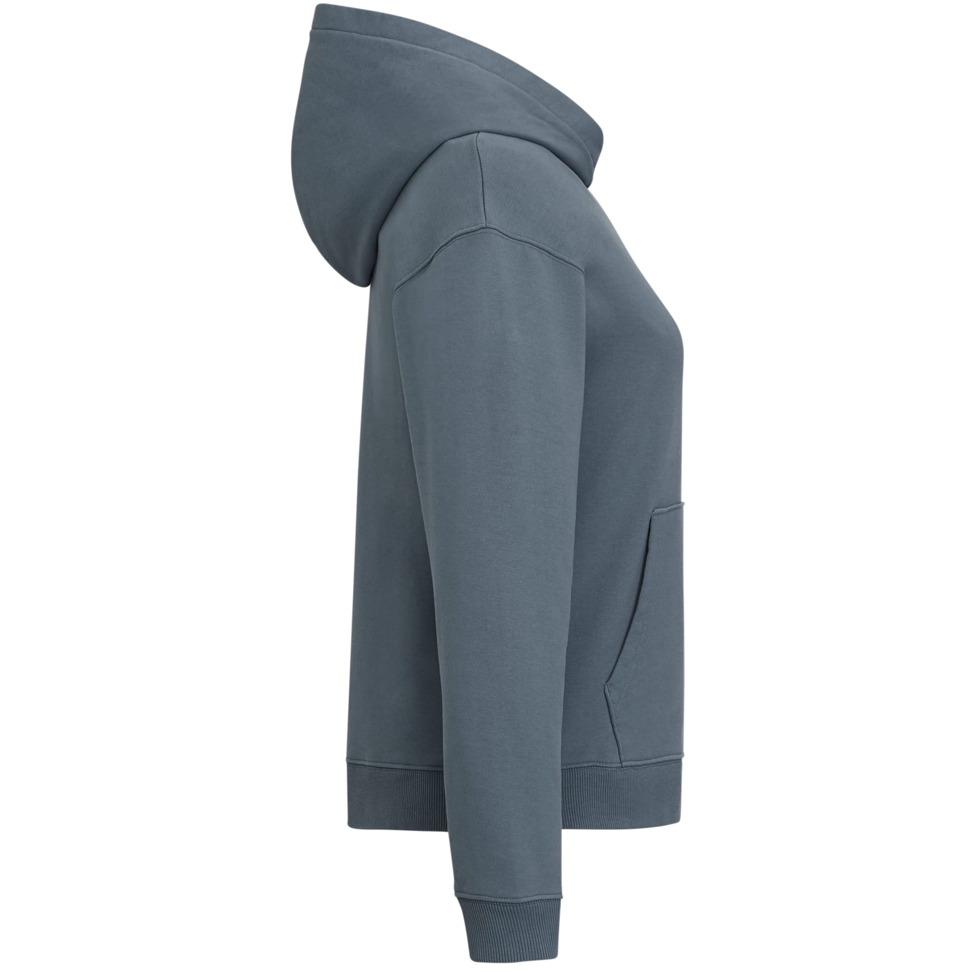 tentree Organic Cotton Classic Hoodie - Women's 38