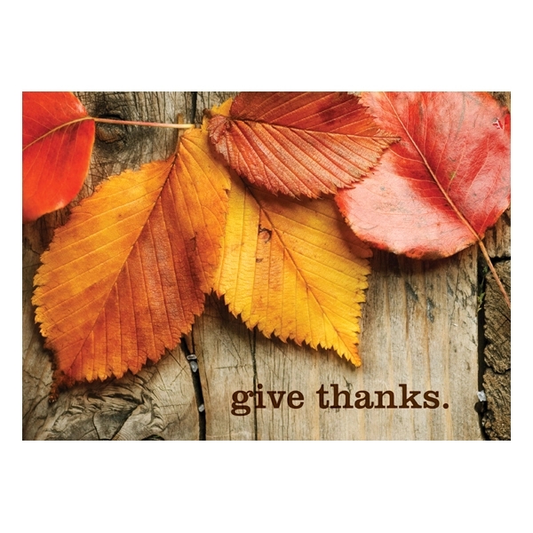 Give Thanks Thanksgiving Card 2
