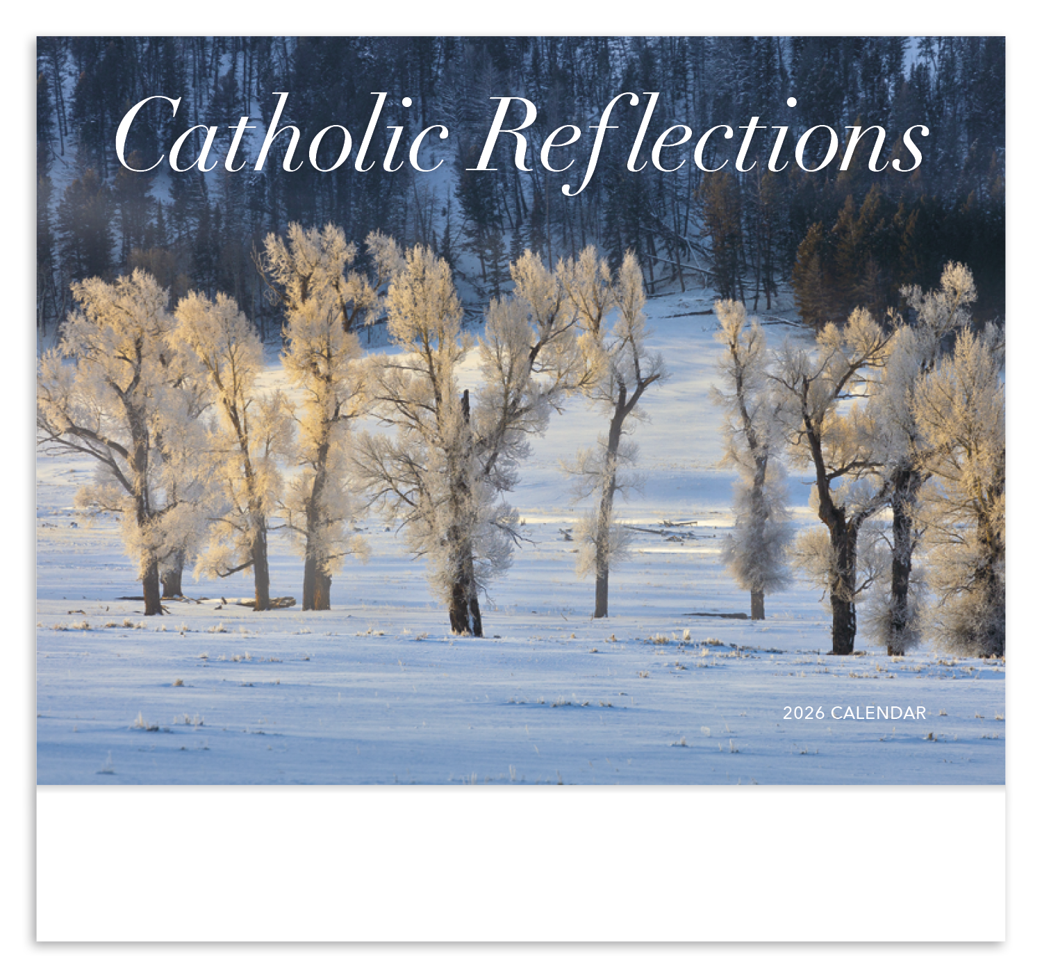 HotLine® Products Catholic Reflections Appointment Calendar - Stapled 7