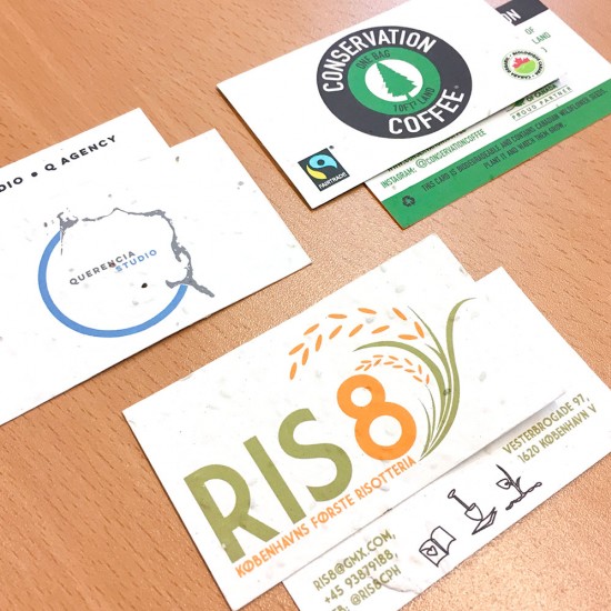 Double-Sided Plantable Business Cards 10