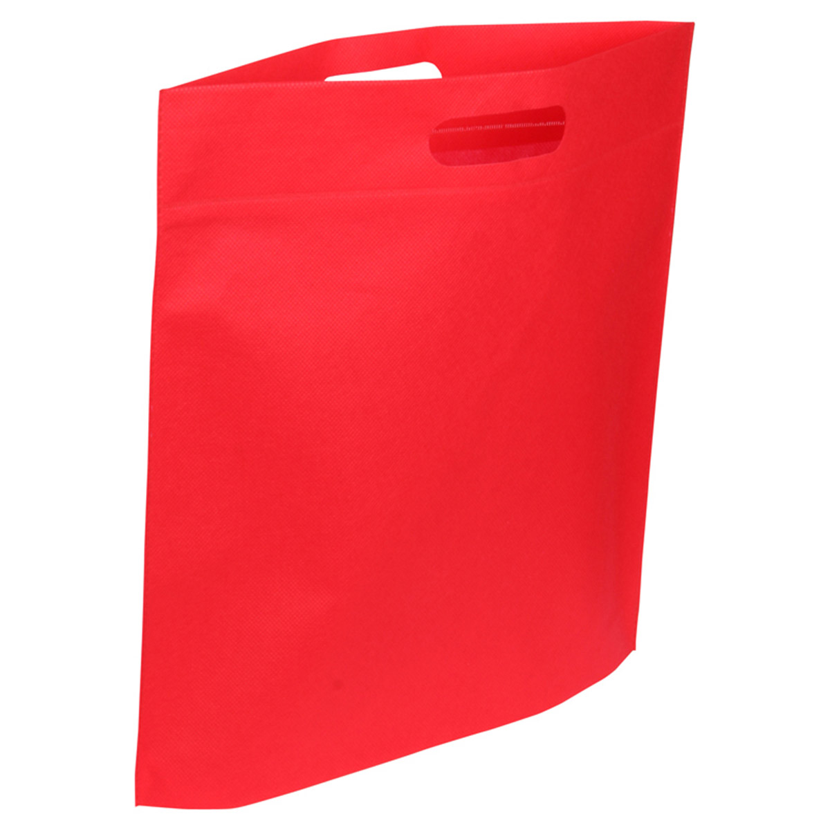 Echo Large Non-Woven Tote 27