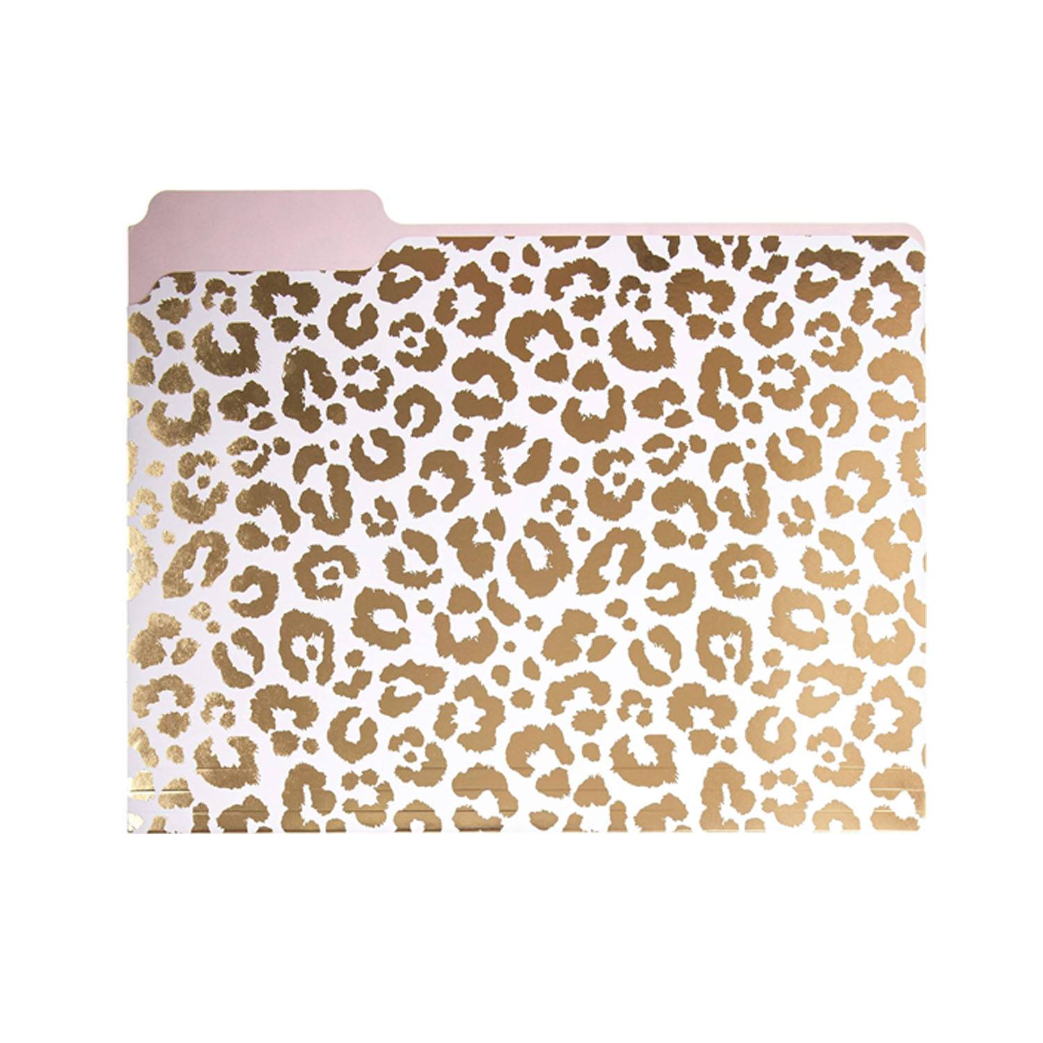Paper Document File Folders 8