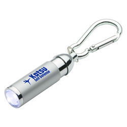 Carabiner Clip LED Light 13