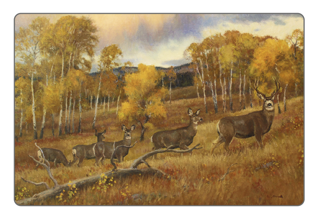Triumph® Calendars Wildlife Art Pocket Calendar 29