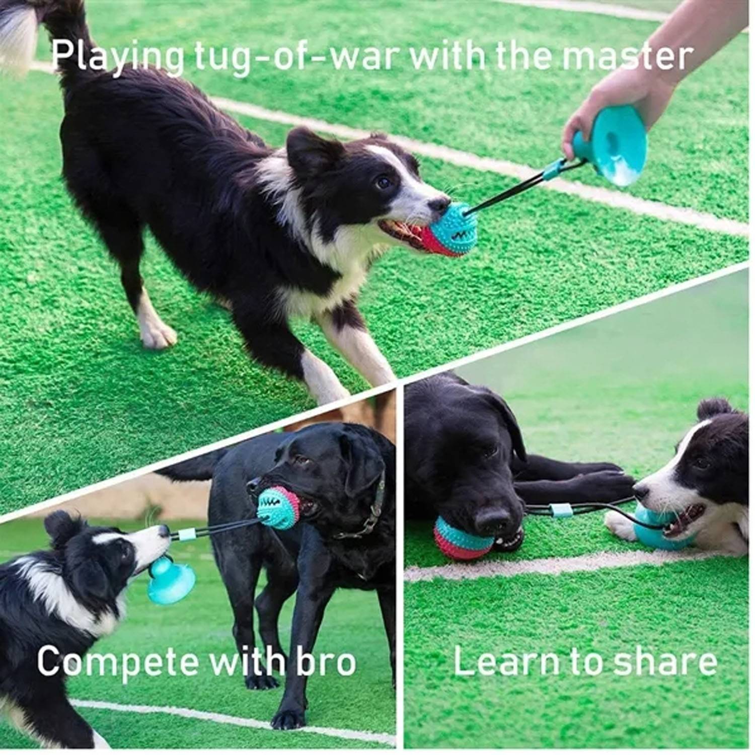 Dog Interactive Tug-Of-War Toy ForReleasing Energy 5