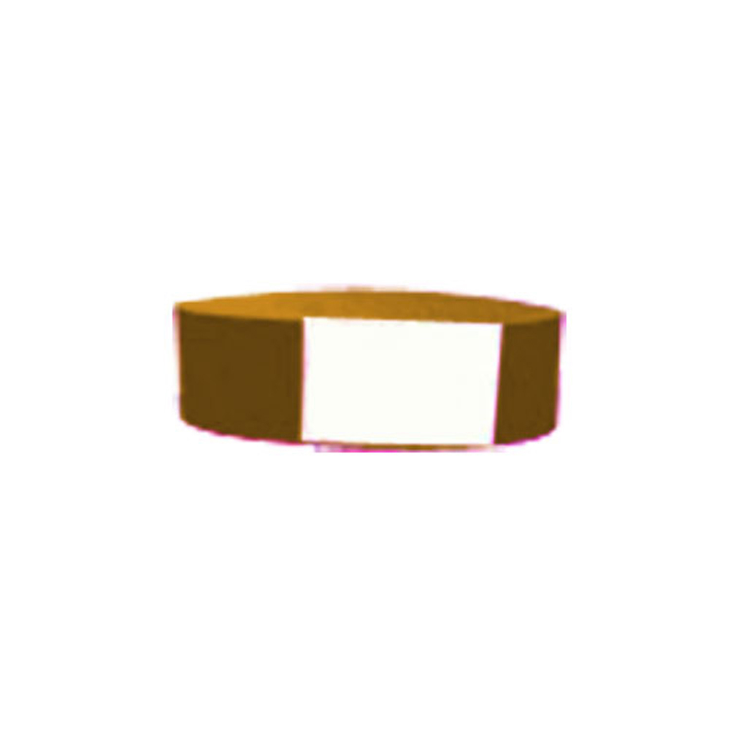 Blank Tyvek Bands 1