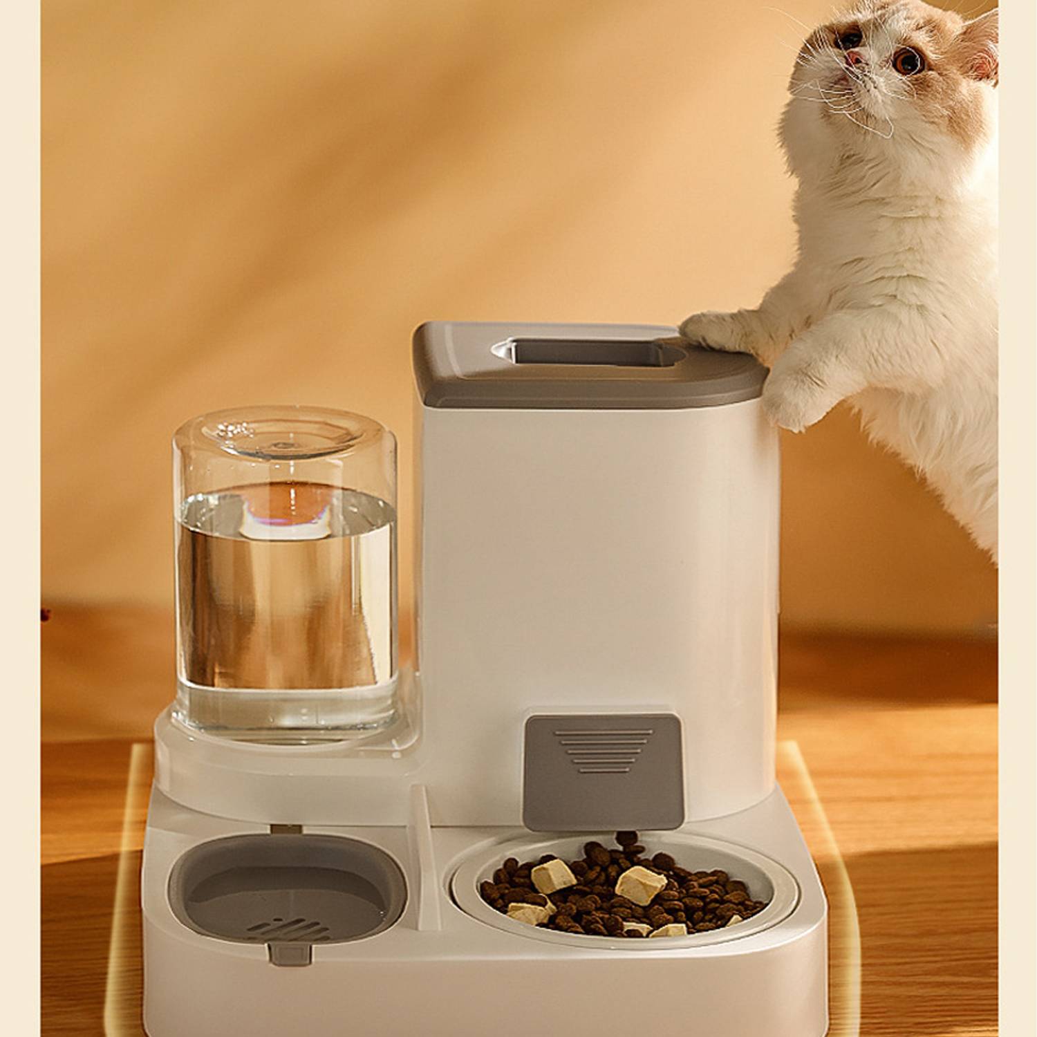 Cat And Dog Two In One Water Dispenser Automatic Feeder 4
