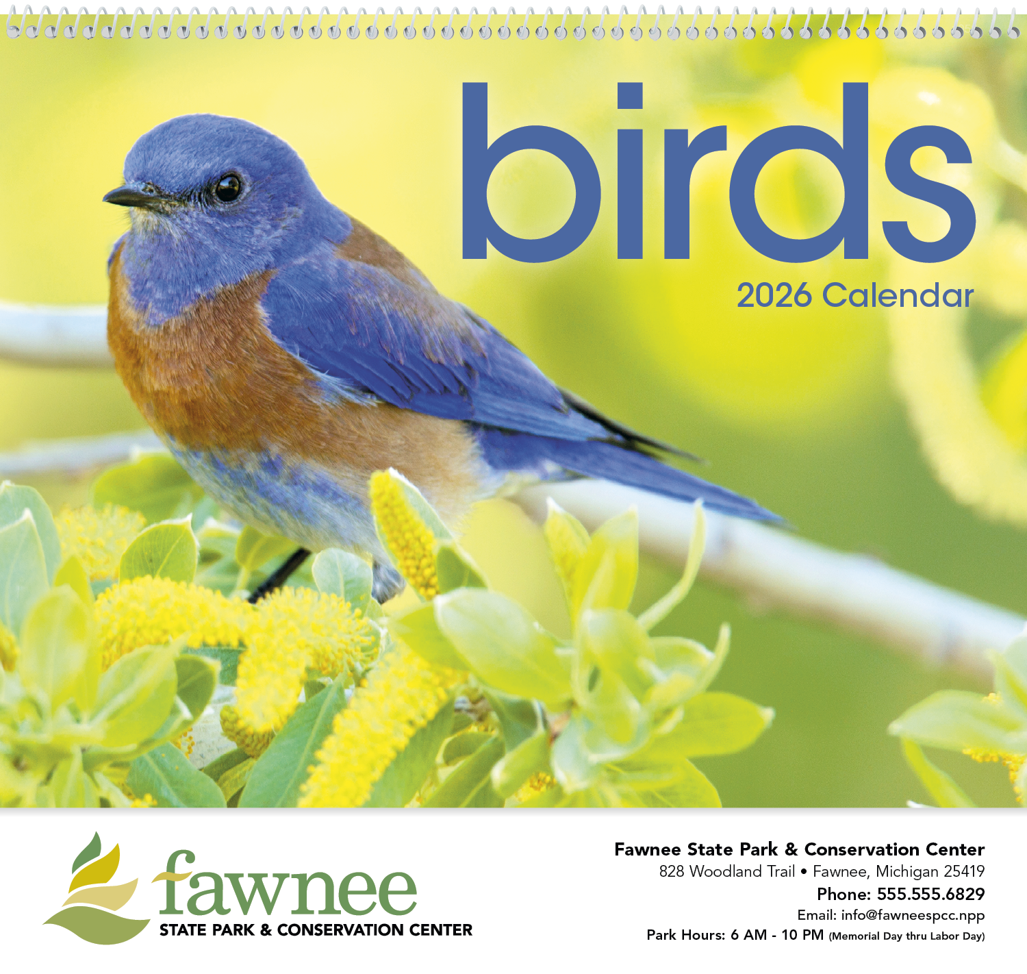 Triumph® Calendars Birds Calendar 10