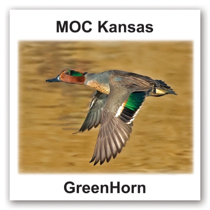 Full Color Lapel Pins