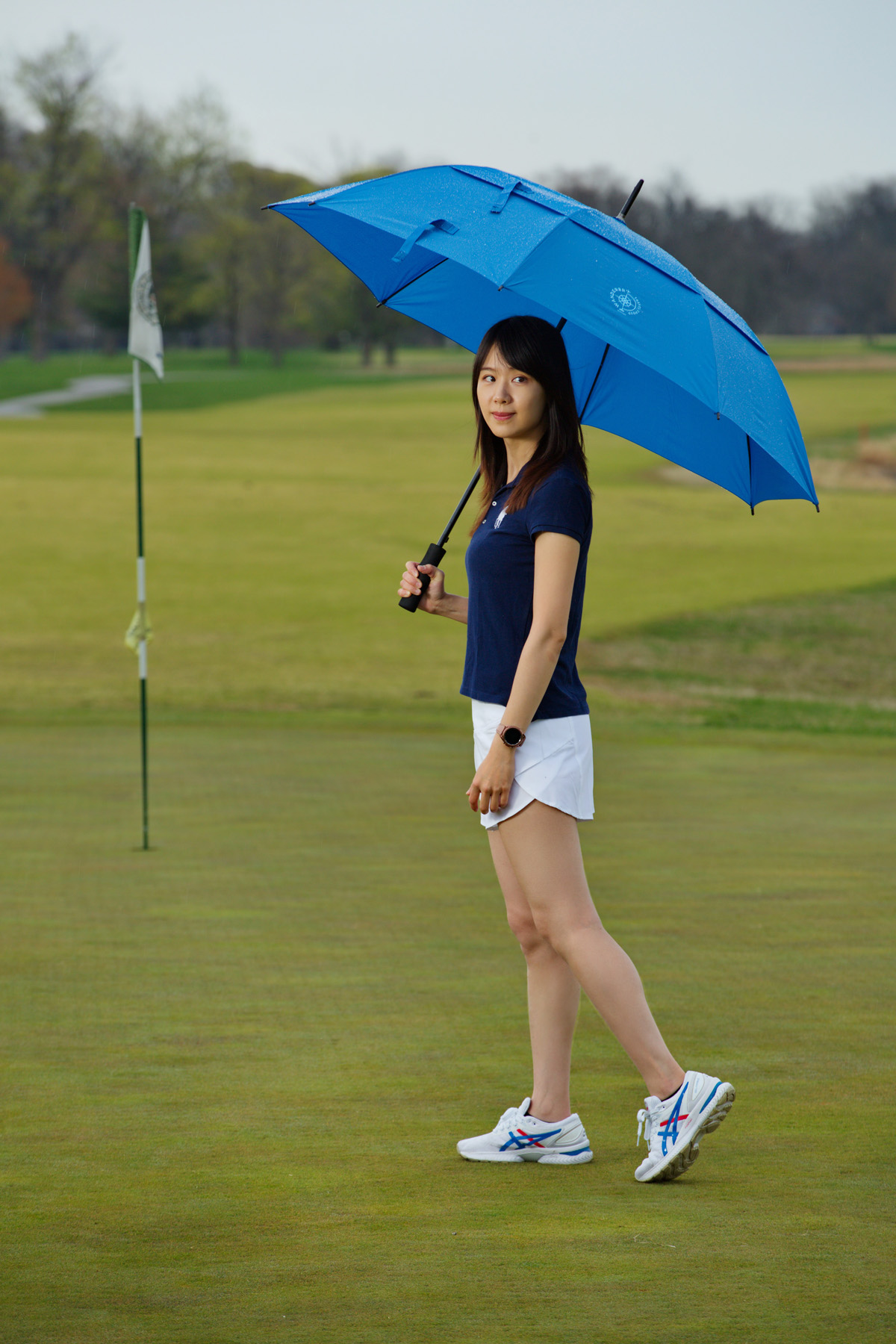 Cheshire Vented Auto-Open Golf Umbrella 10