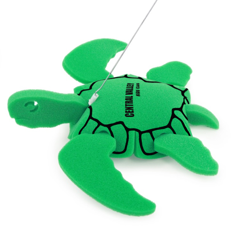 Turtle on a leash 6