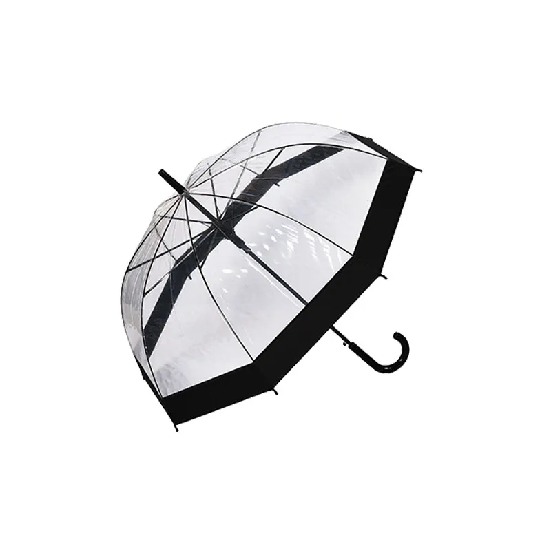 Clear and Transparent Umbrella 10