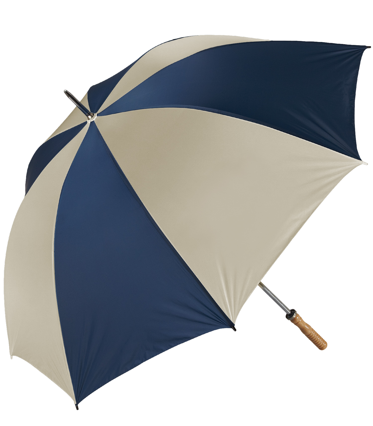 The Booster Umbrella 5