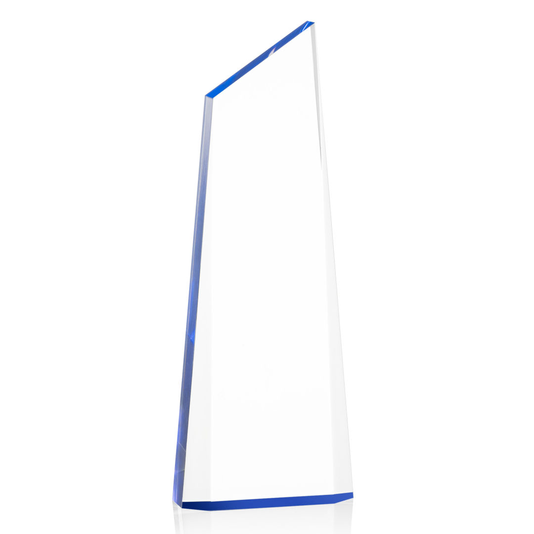 Hudson VividPrint™ Award - Blue 7