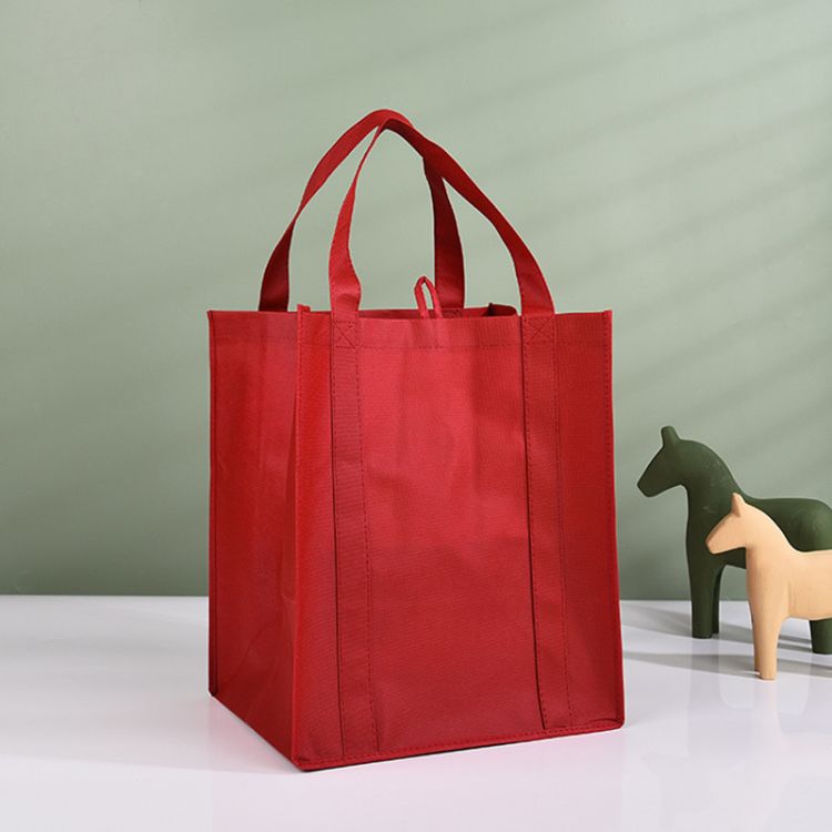 Reusable Large Non-woven Bags 10