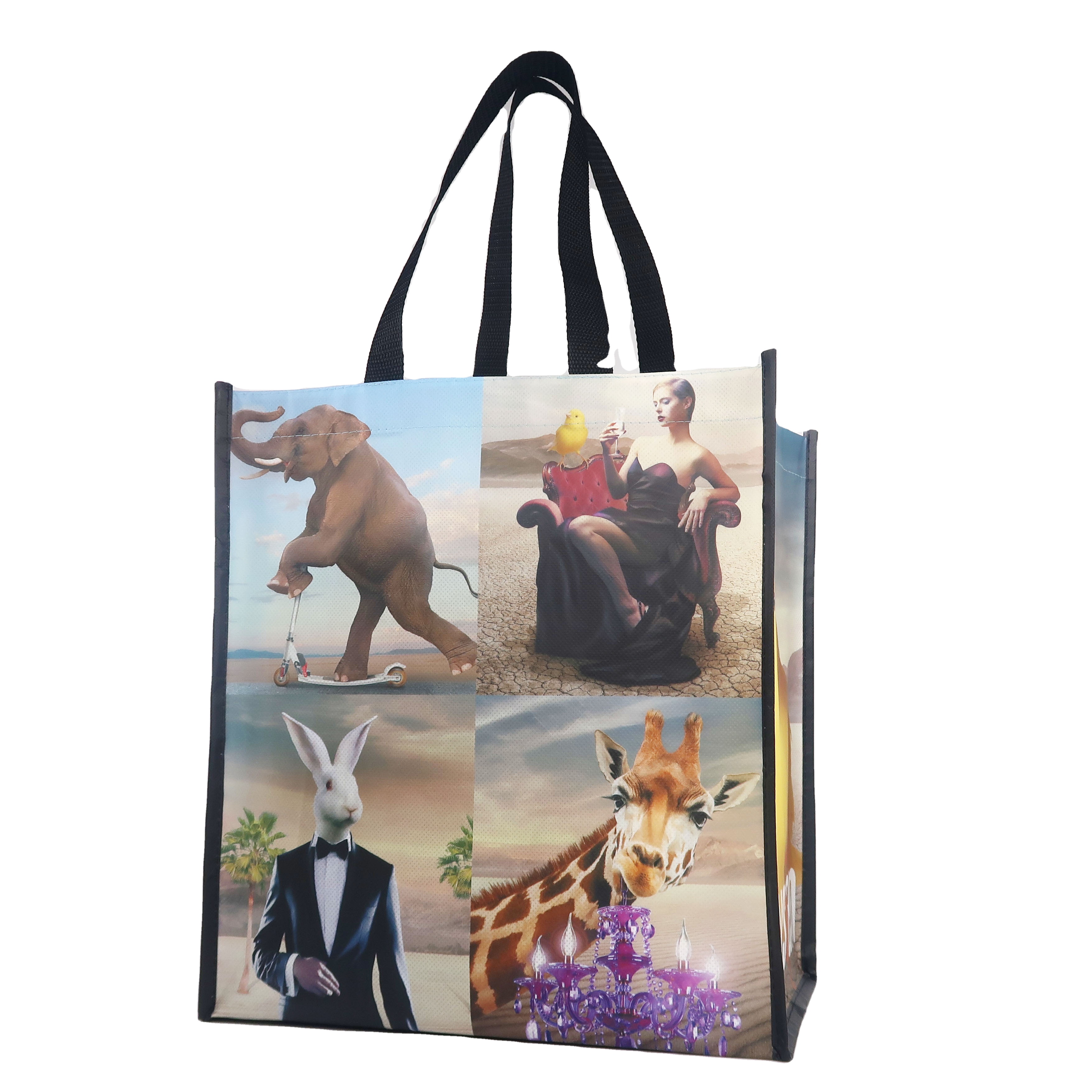 Non Woven Laminated Bags 3