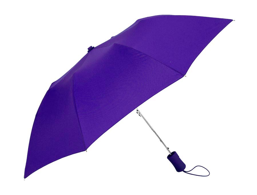 The Victory Umbrella 5