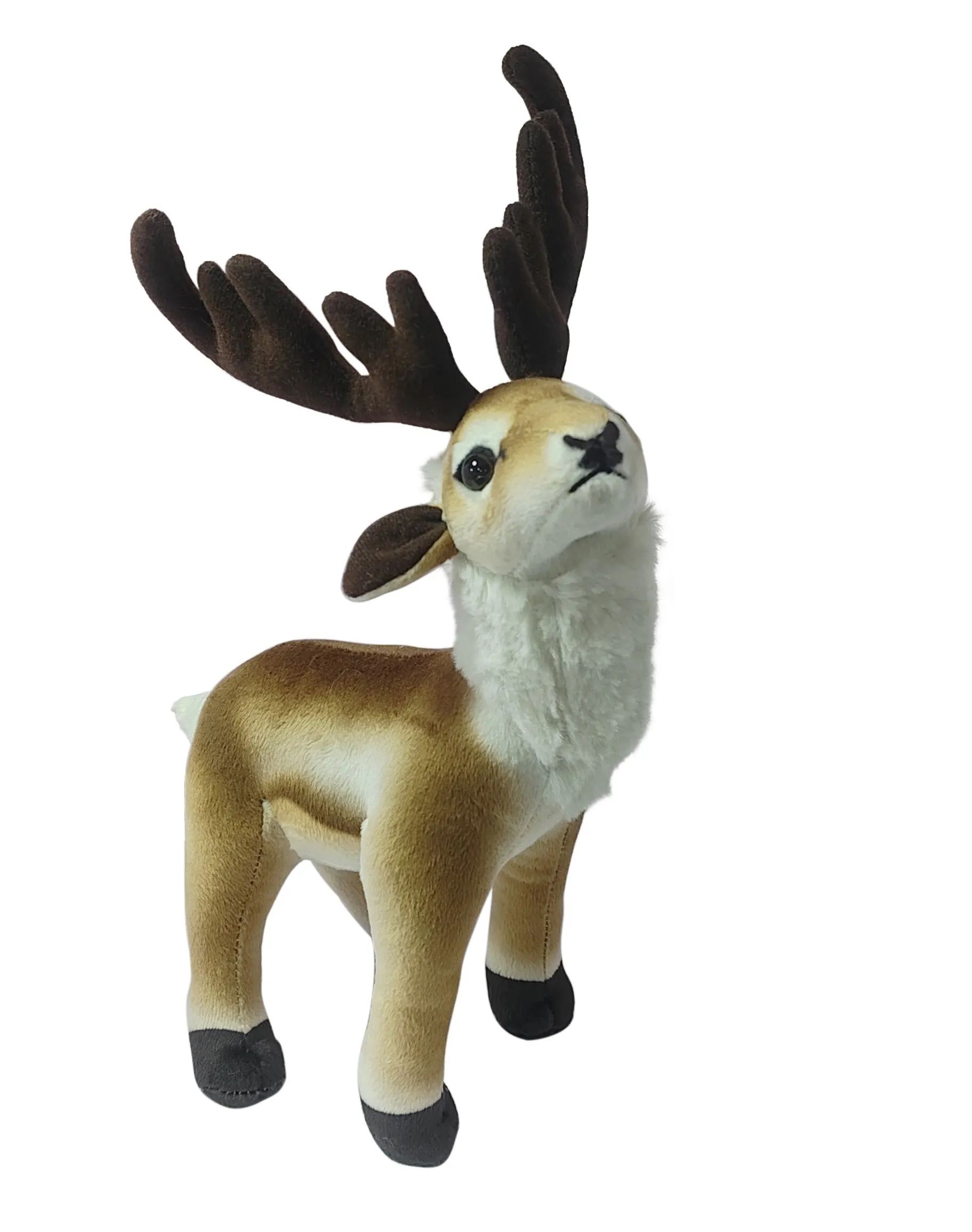 Deer with Antlers 2