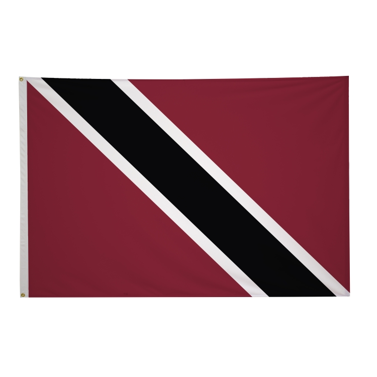 4' x 6' International Flags 245