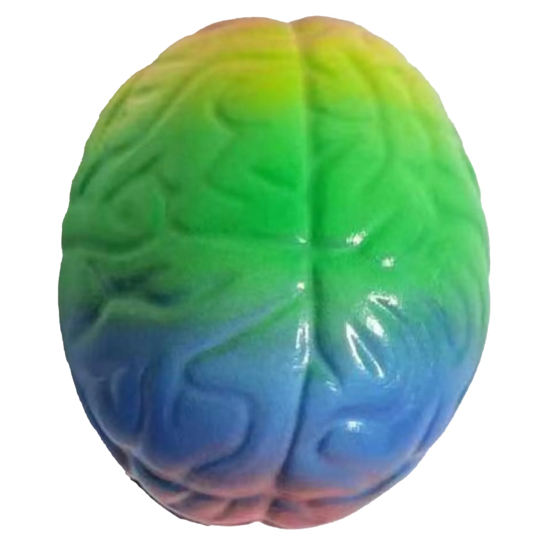 Squishy Brain Fidget Splat Ball 2