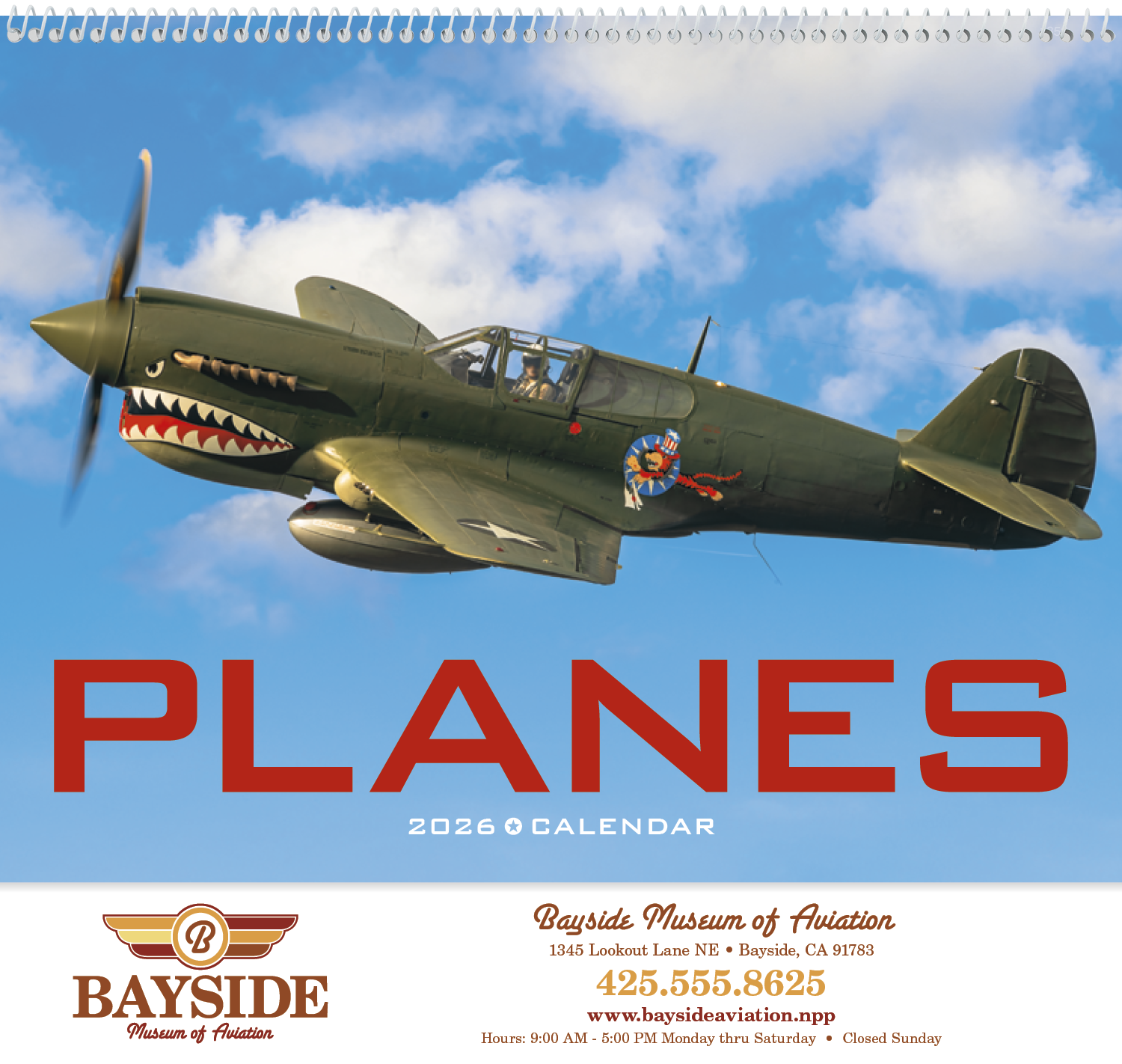 Triumph® Calendars Planes Calendar 35
