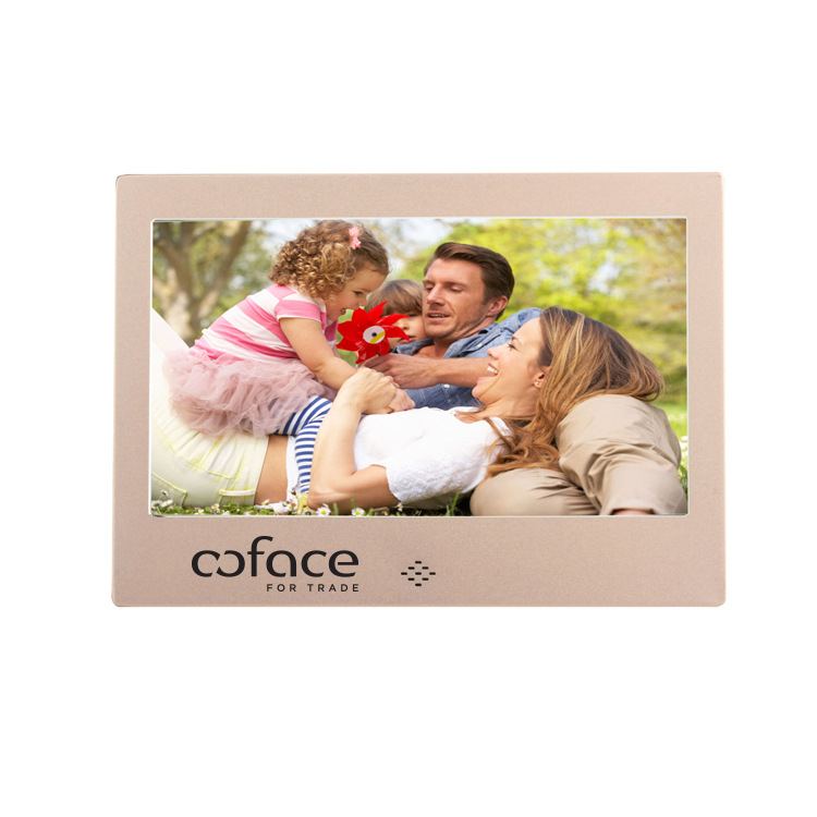 7" LCD Digital Photo Frame W/Brushed Metal Finish 16