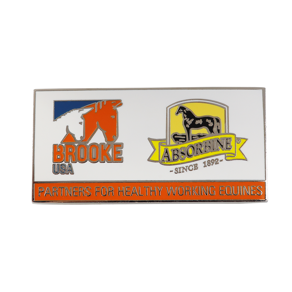 Brass Imitation Cloisonné Lapel Pins