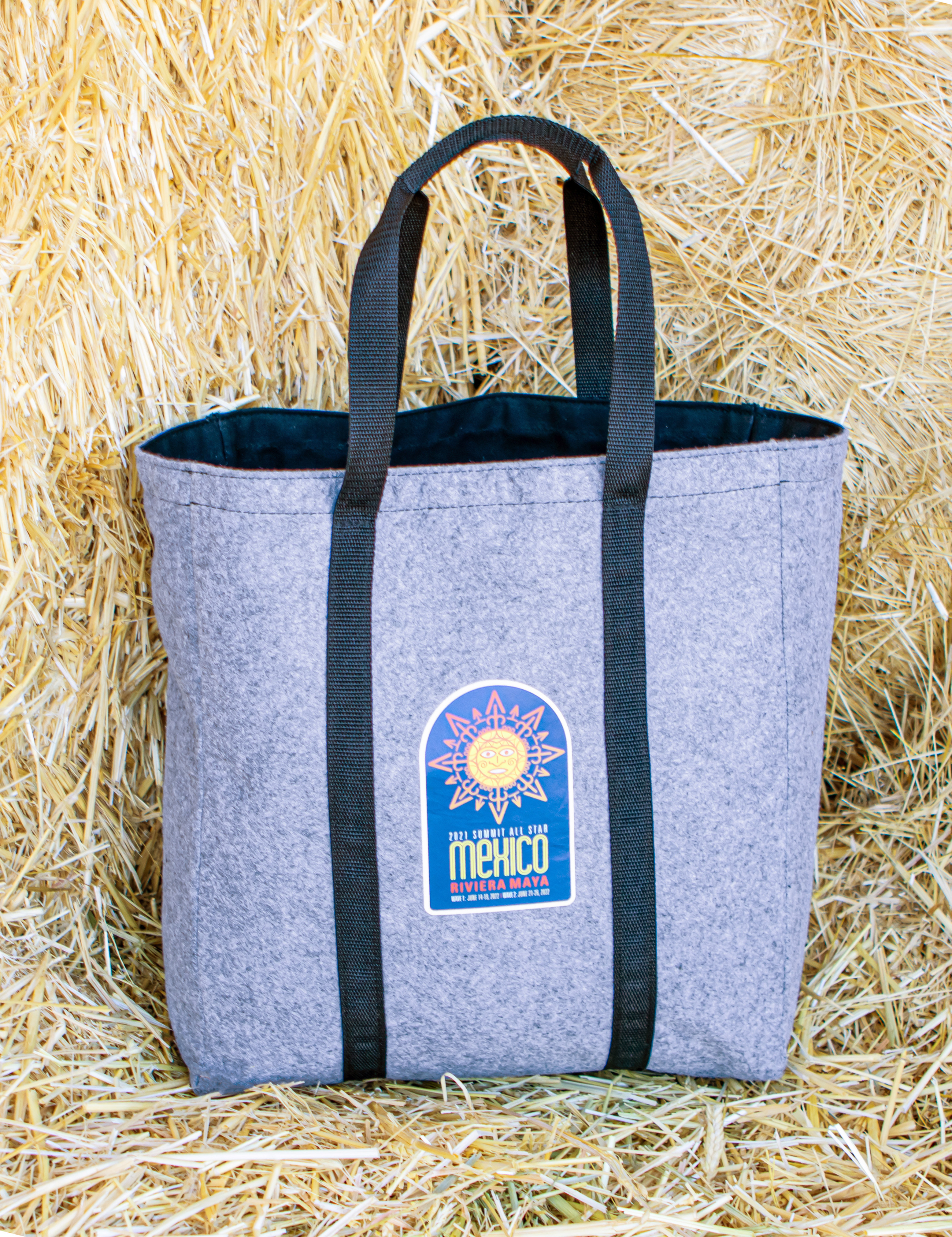 "The Richmond" Lined Felt Tote Bag 2
