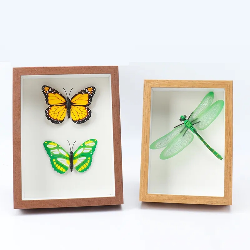 hollow glass specimen display frame 3