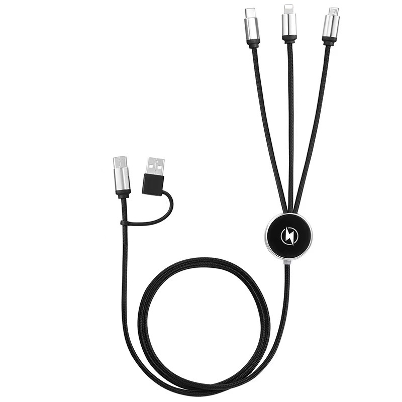 Light-Up Logo Multi-Charge Cable 2