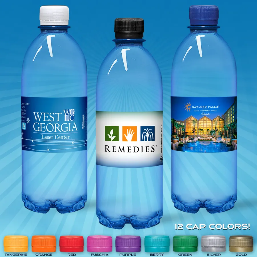 16.9oz Flat Water Bottle (Blue Tint) 1