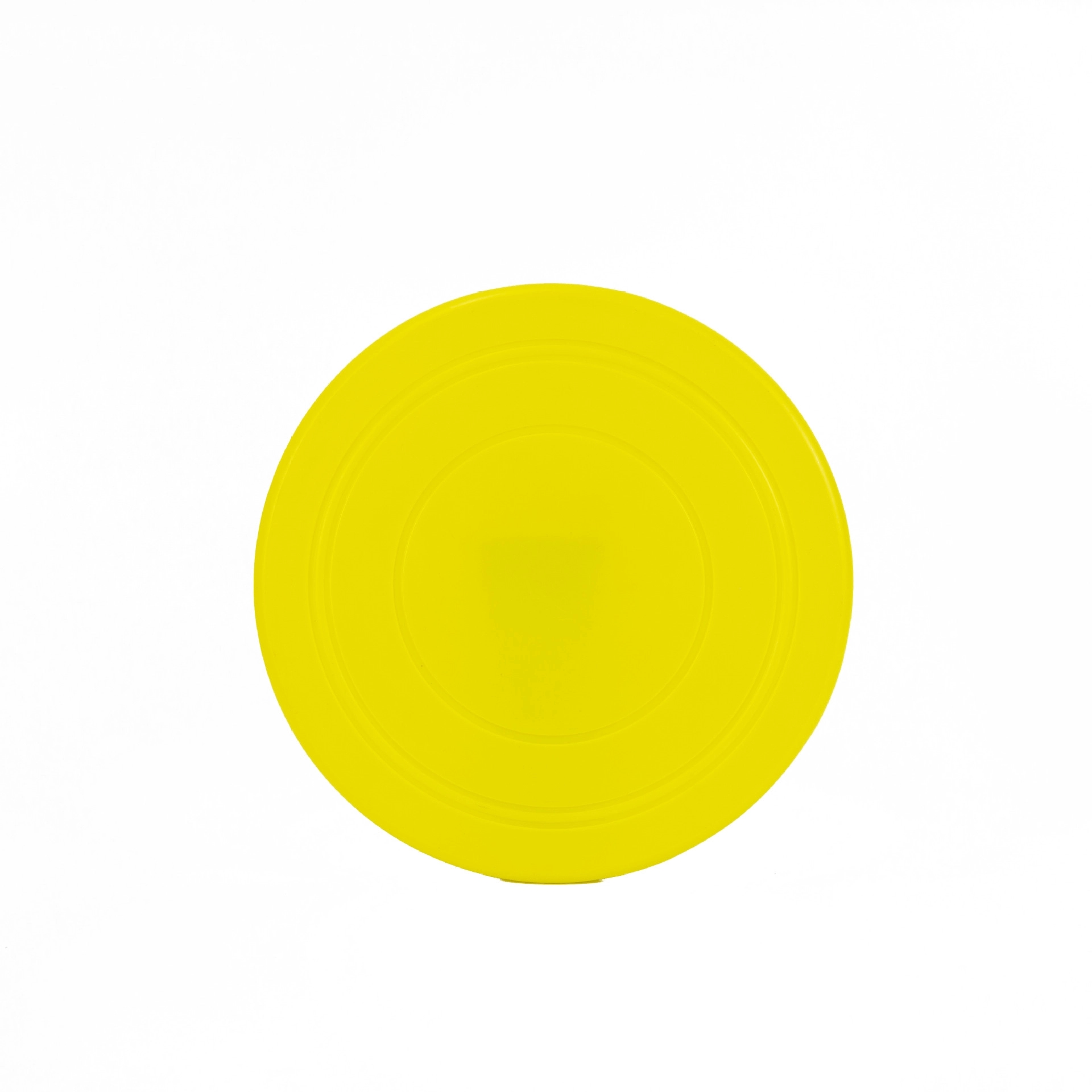 Dog Flying Disc 4