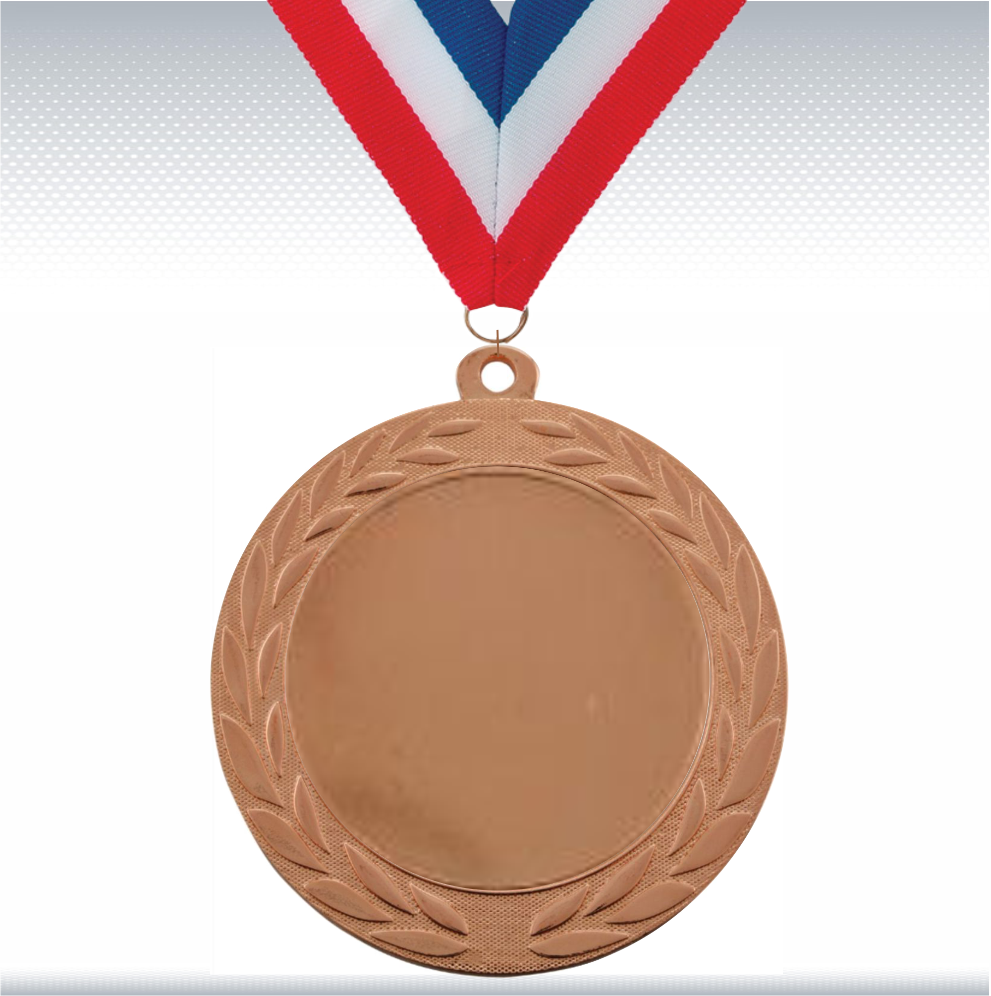 2 3/4" Bright Insert Medal 5