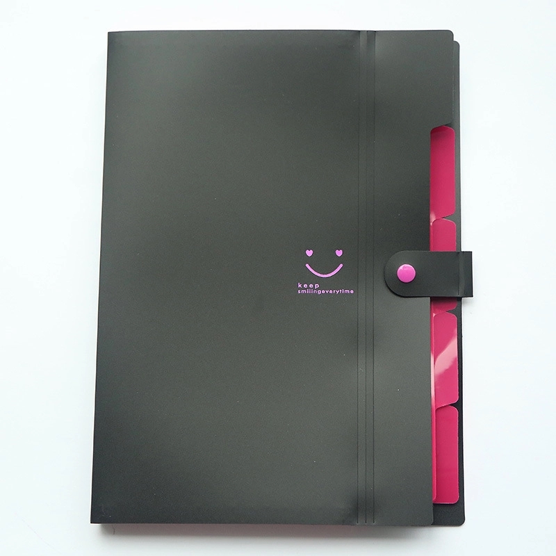 Expanding File Folder 5 Pockets 7