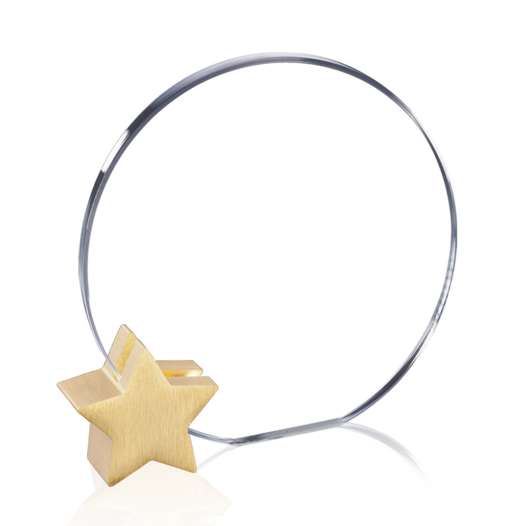 Verdunn Award - Starfire/Gold Star 4