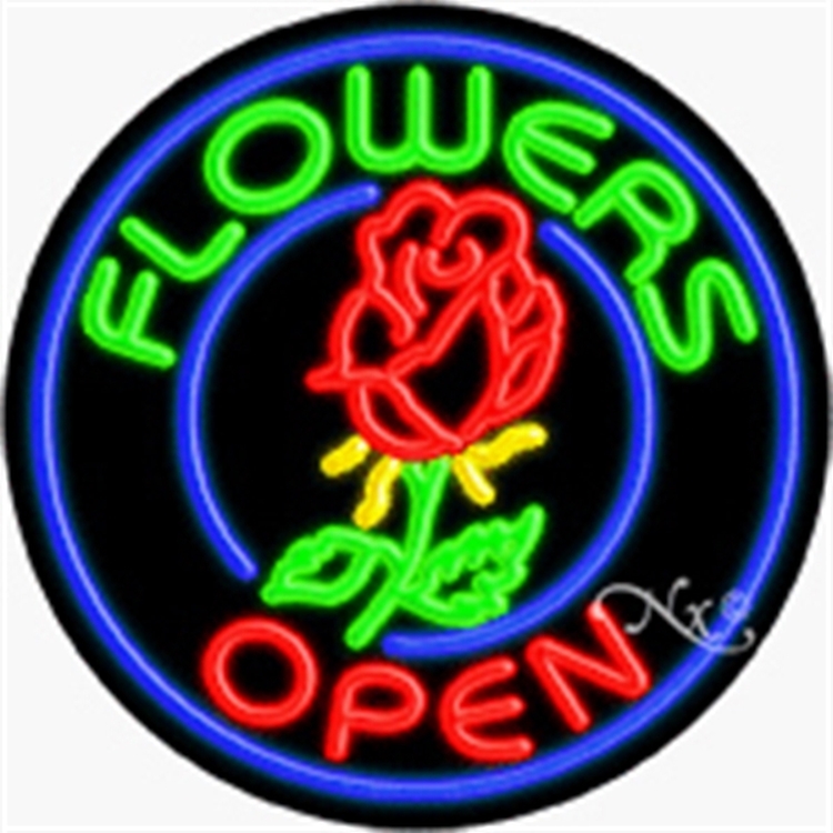 Neon Display Sign Outdoor Indoor for Business Office Store