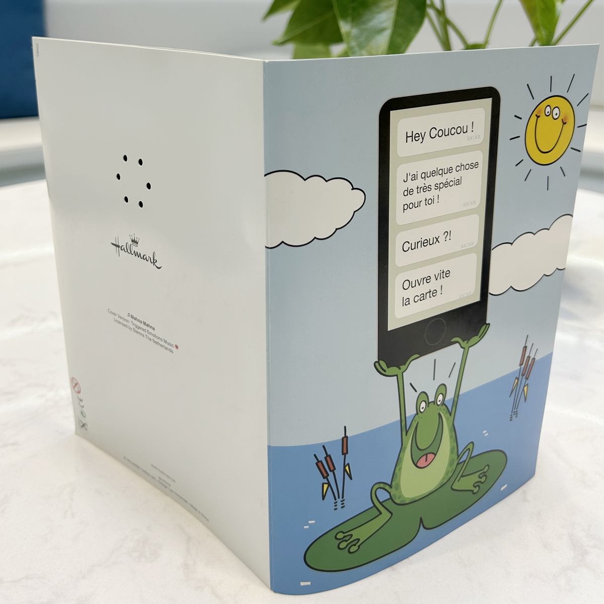 AudioPop Recordable Voice Custom Audio Greeting Card & Direct Mailer - Full Color 3