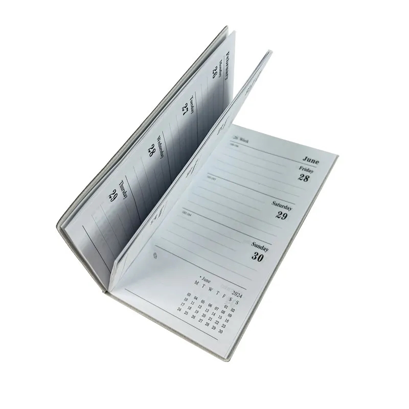 2025 Schedule Precision Planning Notebook 1