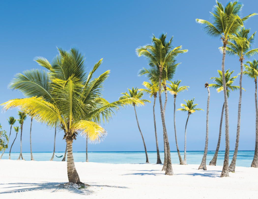 Triumph® Calendars Beaches Calendar 83