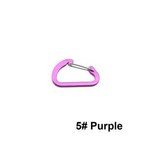 Lightweight Aluminum Flat Carabiner 10